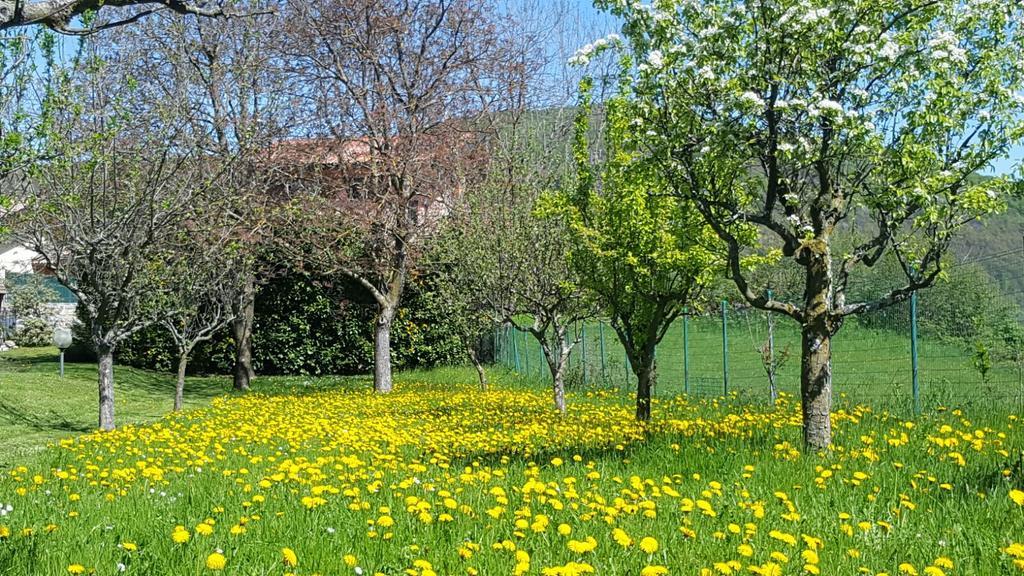 Villa San Giorgio Pellio Superiore Zewnętrze zdjęcie